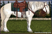 Horse Color:Perlino Frame 