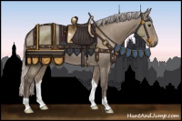 Horse Color:Silver Grullo 