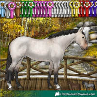 Horse Color:Brown Roan Dun 