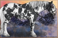 Horse Color:White Spotted Silver Black Chinchilla Sabino 