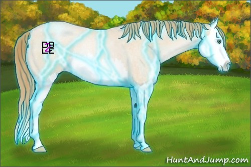 Horse Color:Thunderstruck Smoky Blue Roan Pearl Splash Rabicano 