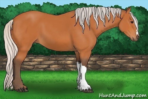 Horse Color:Silver Bay