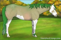 Horse Color:Watercolor Brown Dun Splash