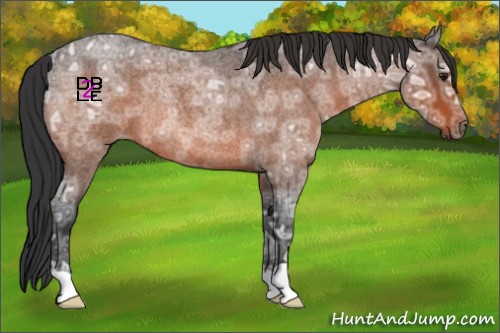 Horse Color:Brown Ice Roan Rabicano 