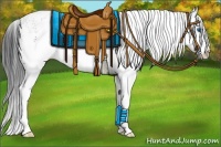 Horse Color:White Spotted Black Splash 