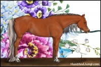 Horse Color:Bay Sabino Rabicano and Silver Bay Sabino Rabicano