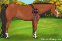 Horse Color:Bay Sabino Rabicano and Bay Sabino Rabicano