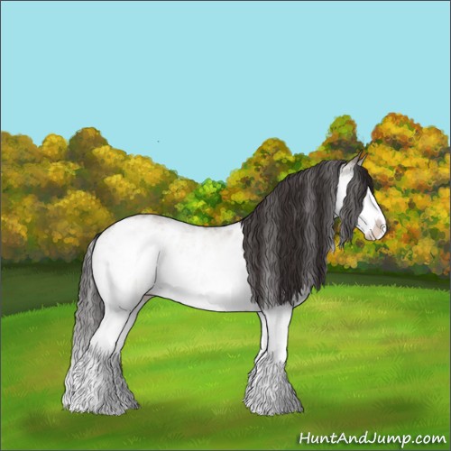 Horse Color:White Spotted Brown Dun Splash Appaloosa 