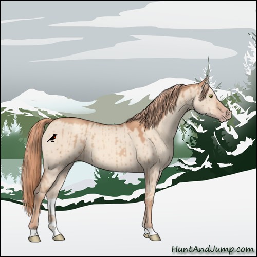 Horse Color:Gold Champagne Dun Brindle 
