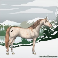 Horse Color:Gold Champagne Dun Brindle