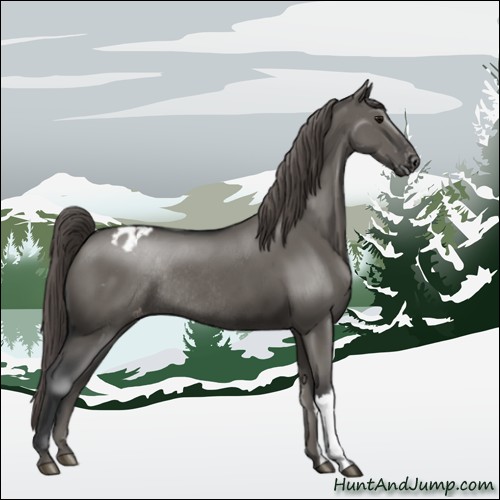 Horse Color:Grullo Mushroom Varnish Rabicano 