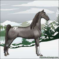 Horse Color:Grullo Mushroom Varnish Rabicano 