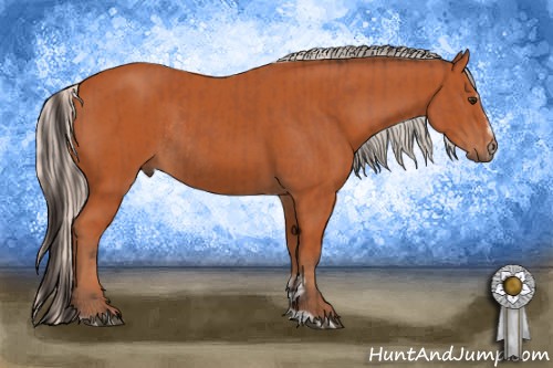 Horse Color:Bay Sabino Rabicano  and Silver Bay Sabino Rabicano 