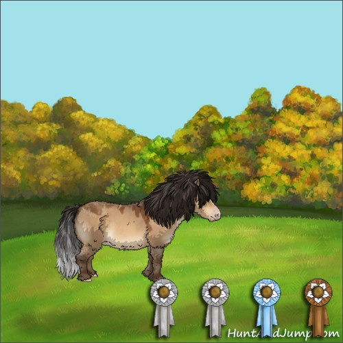 Horse Color:Gray Sable Champagne Dun Varnish
