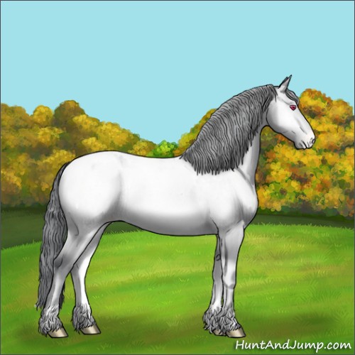 Horse Color:Amber Champagne Chinchilla Onyx Appaloosa Rabicano 