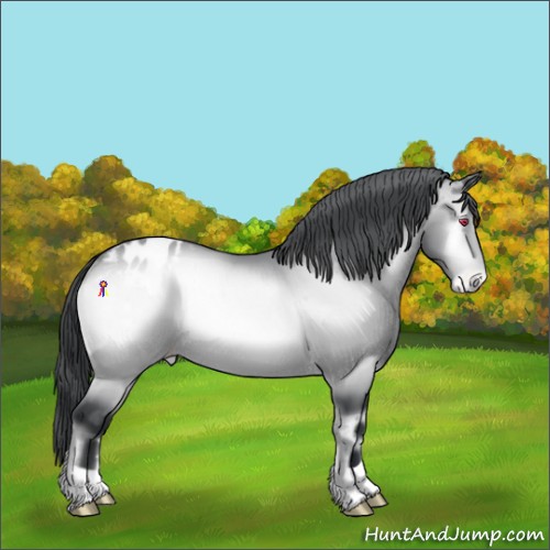 Horse Color:Brown Chinchilla Onyx Varnish Rabicano Brindle 