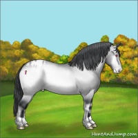Horse Color:Brown Chinchilla Onyx Varnish Rabicano Brindle 