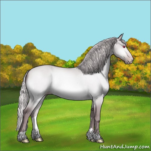 Horse Color:Chocolate Silver Sable Champagne Chinchilla Dun Rabicano