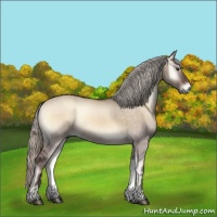 Horse Color:Silver Brown Onyx Rabicano 