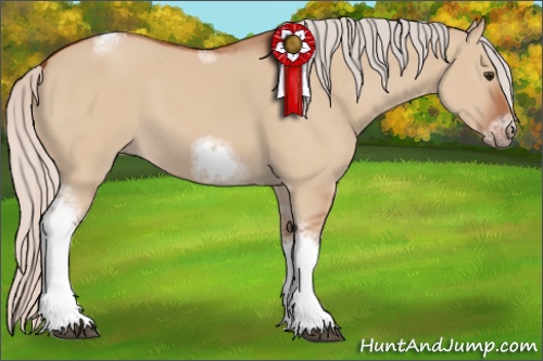 Horse Color:Silver Bay Dun Sabino Tobiano Frame Rabicano 