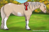 Horse Color:Silver Bay Dun Sabino Tobiano Frame Rabicano