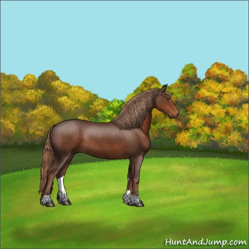 Horse Color:Liver Chestnut Rabicano 