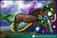 Horse Color:Bay Rabicano