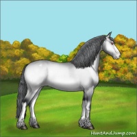 Horse Color:Bay Chinchilla Onyx Appaloosa Rabicano Brindle 