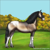 Horse Color:Brown Onyx Snowcap 