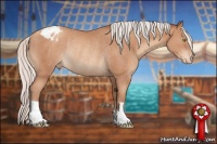 Horse Color:Silver Sable Champagne Appaloosa Rabicano