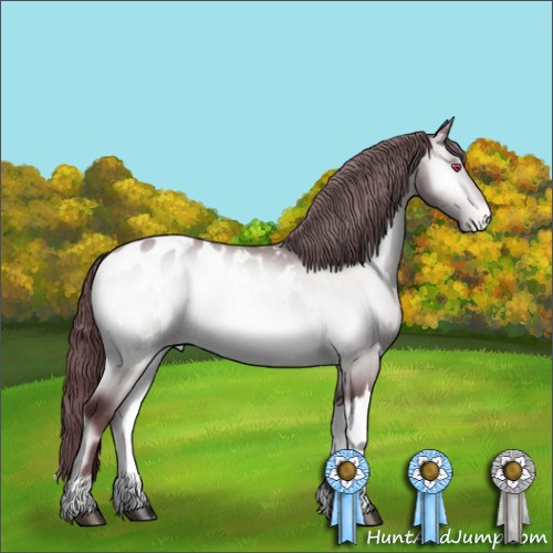 Horse Color:Chocolate Brown Chinchilla Onyx Appaloosa 