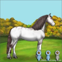 Horse Color:Chocolate Brown Chinchilla Onyx Appaloosa 