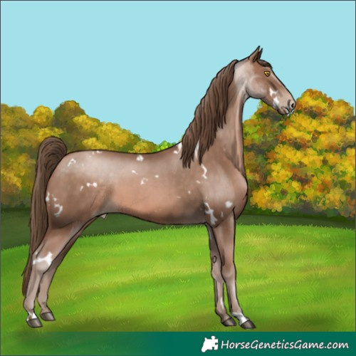 Horse Color:White Spotted Brown Pearl Mushroom 