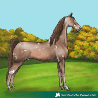 Horse Color:White Spotted Brown Pearl Mushroom 