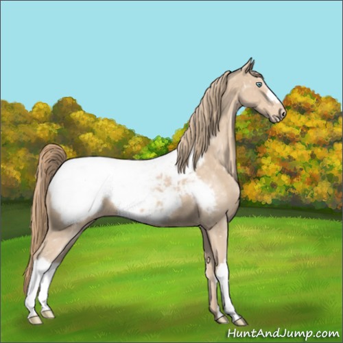 Horse Color:Perlino Near Fewspot