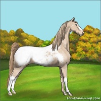 Horse Color:Perlino Near Fewspot 