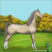 Horse Color:Chocolate Palomino Dun Snowflake Varnish