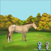 Horse Color:Amber Cream Champagne Dun Appaloosa 