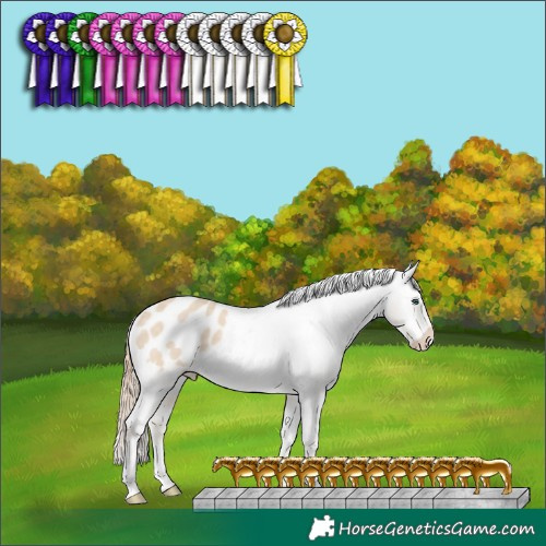 Horse Color:Perlino Dun Appaloosa