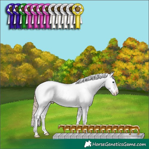 Horse Color:Perlino Dun Appaloosa