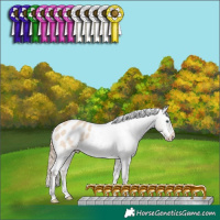 Horse Color:Perlino Dun Appaloosa