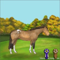 Horse Color:Buckskin Blanket 