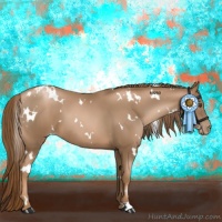 Horse Color:White Spotted Liver Chestnut Pearl 