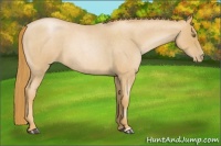 Horse Color:Red Roan Pearl 
