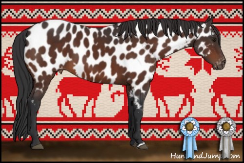 Horse Color:Brown Near Leopard