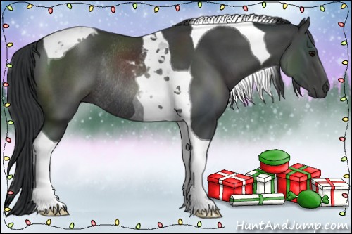 Horse Color:Black Tobiano Rabicano