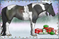 Horse Color:Black Tobiano Rabicano