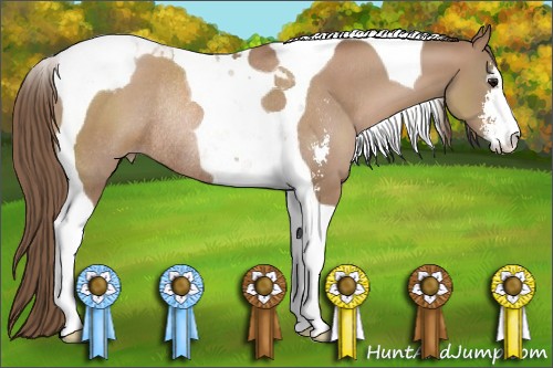 Horse Color:Black Pearl Sabino Tobiano Rabicano 