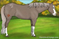 Horse Color:Silver Grullo Splash Varnish 