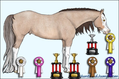 Horse Color:Amber Champagne Roan Splash Varnish 